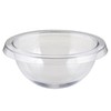 Needzo Clear Holy Water Font Liner, Catholic Church Supplies, 5.5