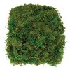 Baker Ross Dried Moss (100g per pack)