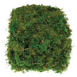 Baker Ross Dried Moss (100g per pack)