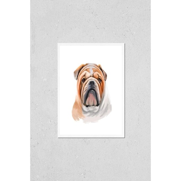 Wall Art Poster Print of Bulldog Dog Breed Isolated on