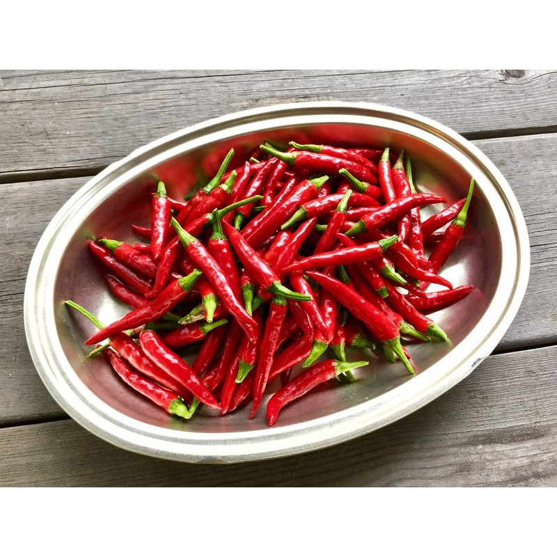 Cayenne Pepper Chili Hot Spicy Seeds Vegetable for Planting Giant
