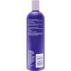 Shimmer Lights Blonde and Silver Conditioner by Clairol for Unisex