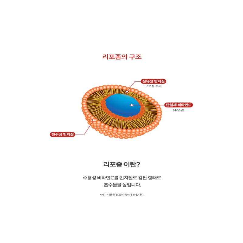 Daily plan Liposomal Vitamin C Vitamin C Liposomal Liposomal Nutrient