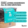 Mycelium 6 LB Mushroom Growing Kit | All-in-One CVG Substrate