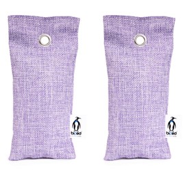 biped FRESH! Shoe Cushion with Bamboo Activated Carbon Against Foot Odour - Natural Shoe Dryer for Unpleasantly Smelling Shoes and Sports Bags (2 x 75 g) Odour Neutraliser z2811 (Pack of 2, Purple)