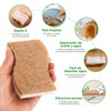 ECYWE Esponjas de Cocina Naturales biodegradables - Esponjas de Cocina
