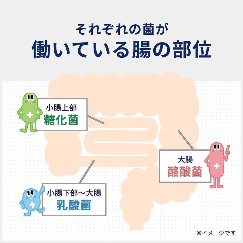 ビオスリ― Hi錠 270錠 整腸剤 錠剤 タブレット 腸内フローラ改善 腸活 便秘 軟便