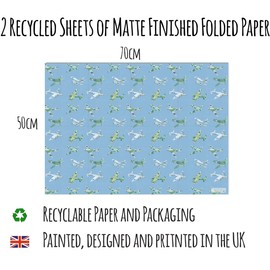 Plane Airplane Aeroplane recycled and recyclable eco printed gift wrap; 2 Sheets Plus Two Gift Tags