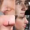 BDEPSTR Pack of 8 False Nose Ring D-shaped Nose Ring