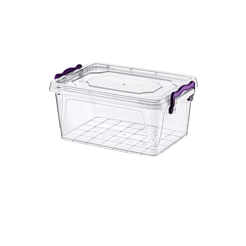 HOBBY LIFE 3 Litre 1-Piece Plastic Rectangular Multi-Box