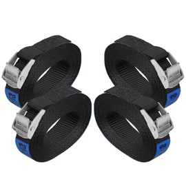 Lashing Strap Tension Belt Buckle Strap - Black - in Different Lengths and Quantities loadable up to 250 kg DIN EN 12195-2, 4 Pieces 2.5 cm x 2.5 m