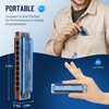 East top Harmonica D, Blues Harmonica Key of D, 10