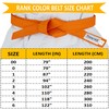 TWISTER Rank Belts for Martial Arts Karate, Aikido, Taekwondo, Judo,