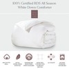 Ella Jayne White Down All Season Comforter with 100% Certified