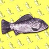 Opexicos Opexicos 2Pcs Carp Pen Bag Realistic Fish Shape Make-up