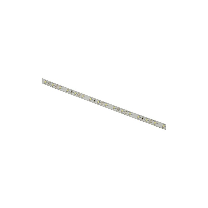 Lyyt | Professional 12V LED Strip | 5m Reel |