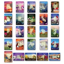 U.S. State Map Postcard Set of 50. Modern post cards variety pack. Postcards with maps of all fifty states of the United States of America. Made in USA.