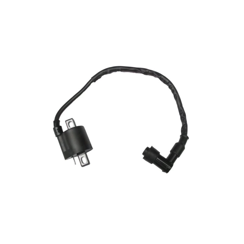 Ignition Coil Compatible with Yamaha ATV Big Bear 350 YFM350