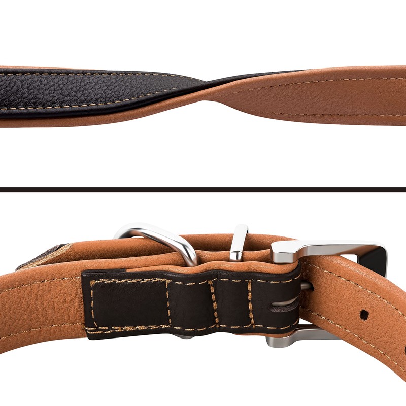 Schnüffelfreunde Fun Line Leather Dog Collar for Large, Medium and
