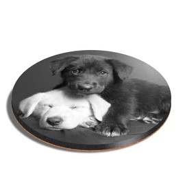 1 x Round Coaster - Labrador Puppy Dog Black Blonde Cork Backed MDF Glossy Tea Coffee Accessory #12584