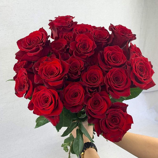 Greenchoice Flowers Fresh Bouquet | 24 Red Roses | Fresh Cut Flowers Directly from Our Farm | Valentines Day | Birthday Flowers (2 Dozen / 20" Long Stems)