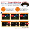 GWSOLAR Ultra Long Selling "Smart" Solar Light!! White Color 30