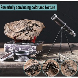 LAGOM HOUSE Dinosaur Fossil | Resin Dinosaur Skeleton Model / Skull / Statue / Bones / Figurines | T rex Skull Replica Fossils | Dinosaur Decor for Bookshelf | Desktop | Shelf Display 13x 7in