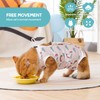 Avont Cat Recovery Suit - Kitten Onesie for Cats After