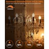 MEQIQTEK E12 60 Watt Incandescent Candle Light Bulbs, Chandelier Light