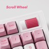 Akko 5098B Wireless Gaming Keyboard with Screen, Prunus Lannesiana Hot-Swappable