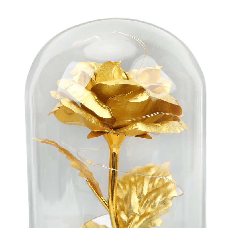 Rose in Glass Dome Lucky Beautiful Symbolism Romantic Enchanted Rose