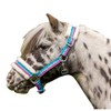 Funny Horses HKM Headcollar, Horse Headcollar, Pasture and Stable Headcollar,