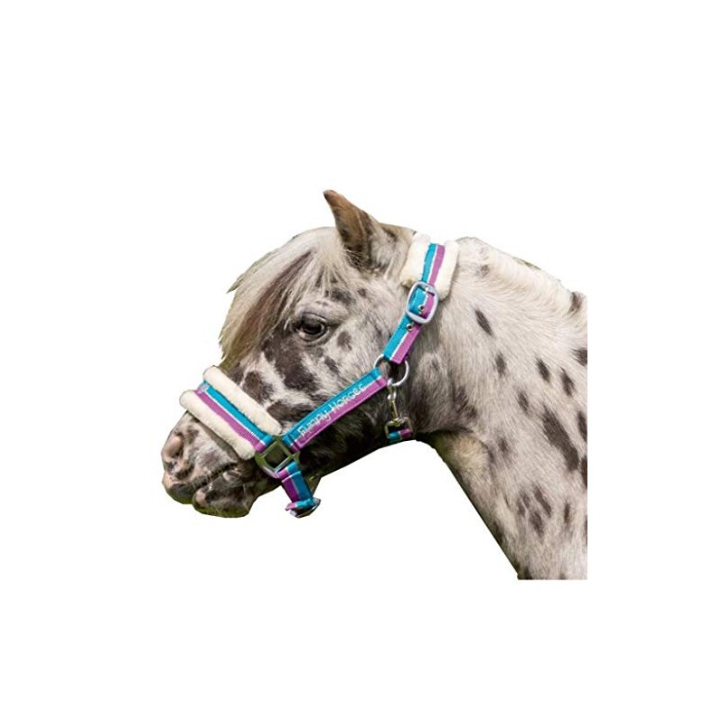 Funny Horses HKM Headcollar, Horse Headcollar, Pasture and Stable Headcollar,