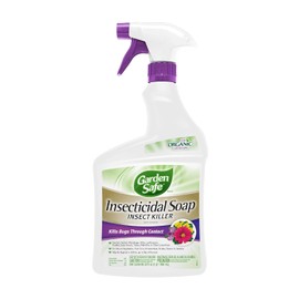 Garden Safe Brand Insecticidal Soap Insect Killer, 32 Fluid Ounces, for Organic Gardening, Kills Bugs Through Contact (Pack of 6)