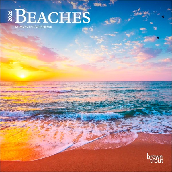 Beaches | 2026 7 x 14 Inch (Hanging) Monthly Mini