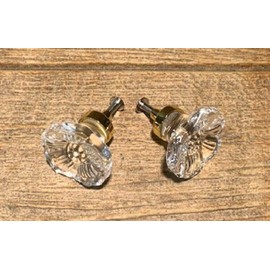 Clear Rose Cut Crystal Drawer Pull Gold Accent with Brass Base 0170-51538G