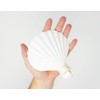 Tumbler Home Real Sea Shell Beach Night Light Real, Natural,