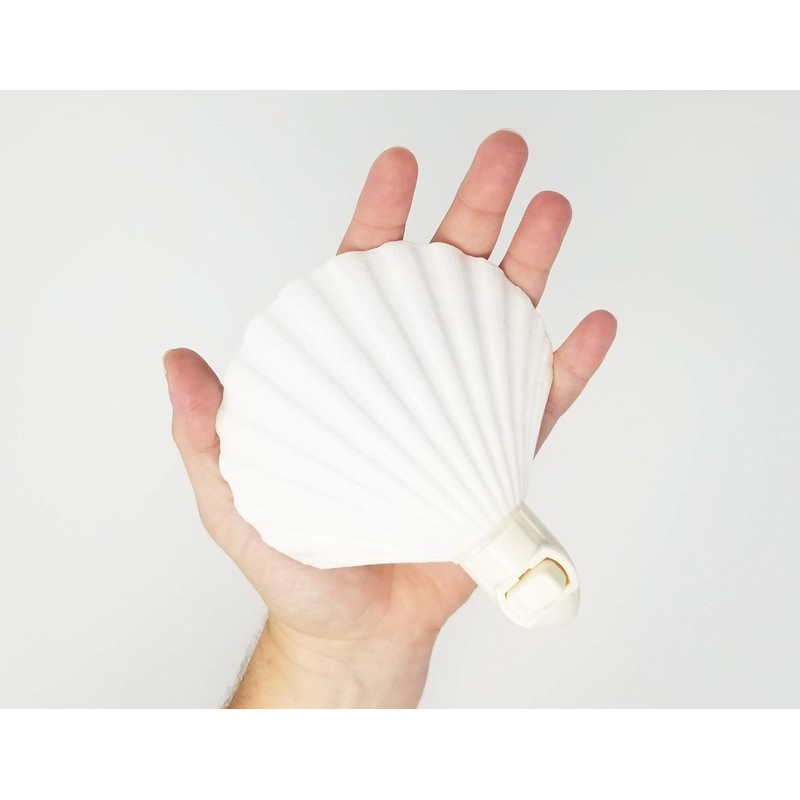 Tumbler Home Real Sea Shell Beach Night Light Real, Natural,