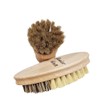 Vegetable Brush and Mushroom Brushes Fruit Vegetable Cleaning Brush Set