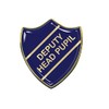 Deputy Head Pupil Gel Domed Blue School Shield Badge