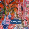 Springbok Cheetah and Ginger Jar 500 Piece Jigsaw Puzzle for