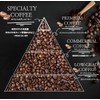 TRADITIOND COFFEE Tea Bags, 100% Arabica Seeds (Compare to Roasted