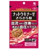 小林製薬 ナットウキナーゼ さらさら粒 60粒入 [2個セット]