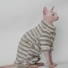 Thick, Warm,Winter Four-Legs Hairless Cat Sweater for Sphynx, Devon Rex,