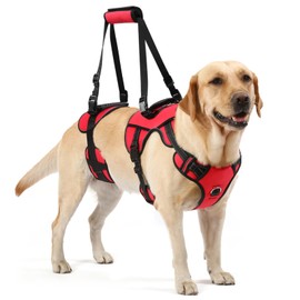 NOYAL Dog Lift Harness for Senior & Injured Pets – Full-Body Support Sling with Breathable Mesh, Front/Rear Leg Assist for Arthritis, Hip Dysplasia & Post-Surgery Recovery (Medium-Large Breeds)