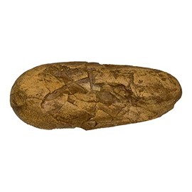 Oviraptor Dinosaur Egg (Teaching Quality Recreation)