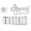 SUS SFB-551S Hexagon Socket Socket Bolts, Stainless Steel, M5 x
