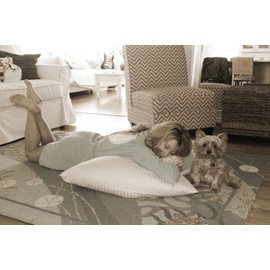 Oversize Body Pillow, Cotton Hypoic Allergy Protection, Maternity / Pregnancy Cushion, Size 31” x 40”