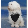 EechicSpace Blank Dog Bandana Black Polyester for Small Dogs
