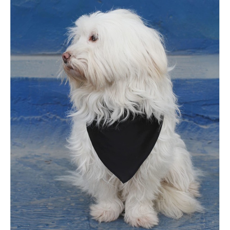 EechicSpace Blank Dog Bandana Black Polyester for Small Dogs